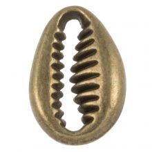 Charm Kauri Muschel (11 x 9 mm) Bronze (10 Stück)