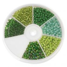 Perlen Set - Rocailles Green (3 mm) 'Mix Color'