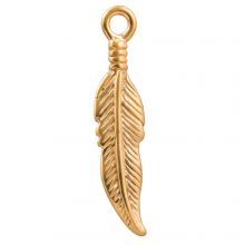 Edelstahl Charm Feder (25 x 6 mm) Gold (1 Stück)