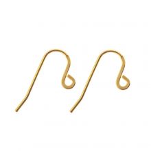 Edelstahl Ohrhänger (22 x 12.5 mm) Gold (10 Stück)